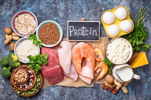 protein sources