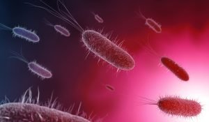 pathogenic microbes