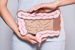 gut microbiome