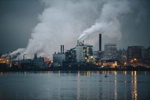 environmental toxins