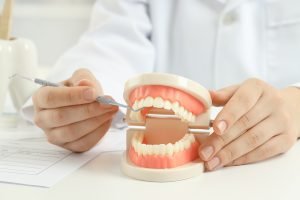 dentist with model of teeth
