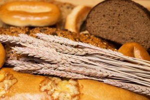 wheat, bread and gluten